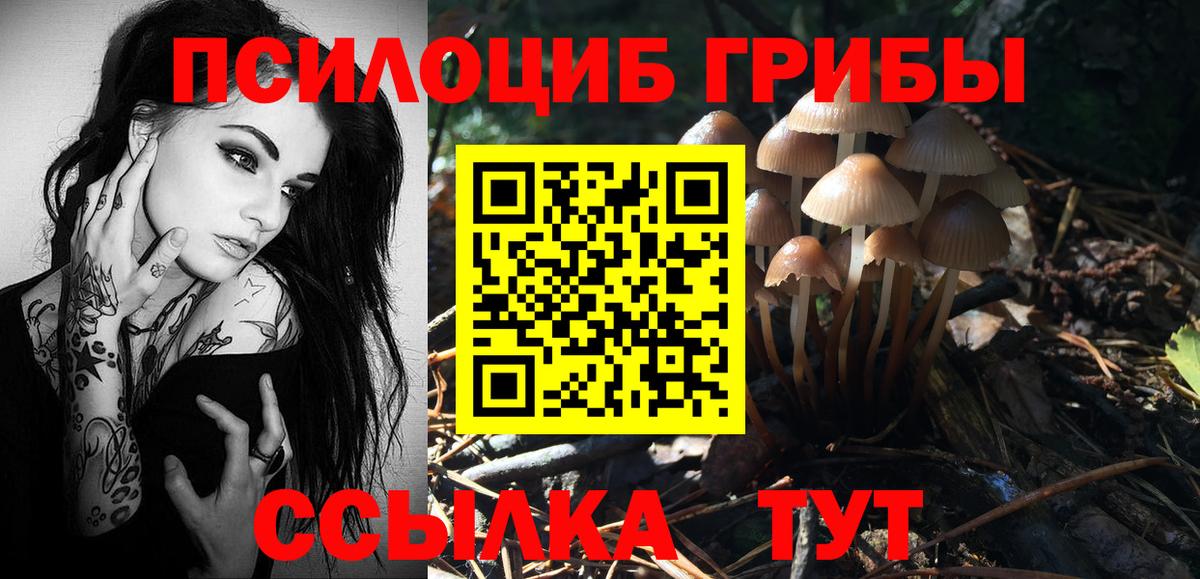 Галлюциногенные грибы Cubensis Амурск