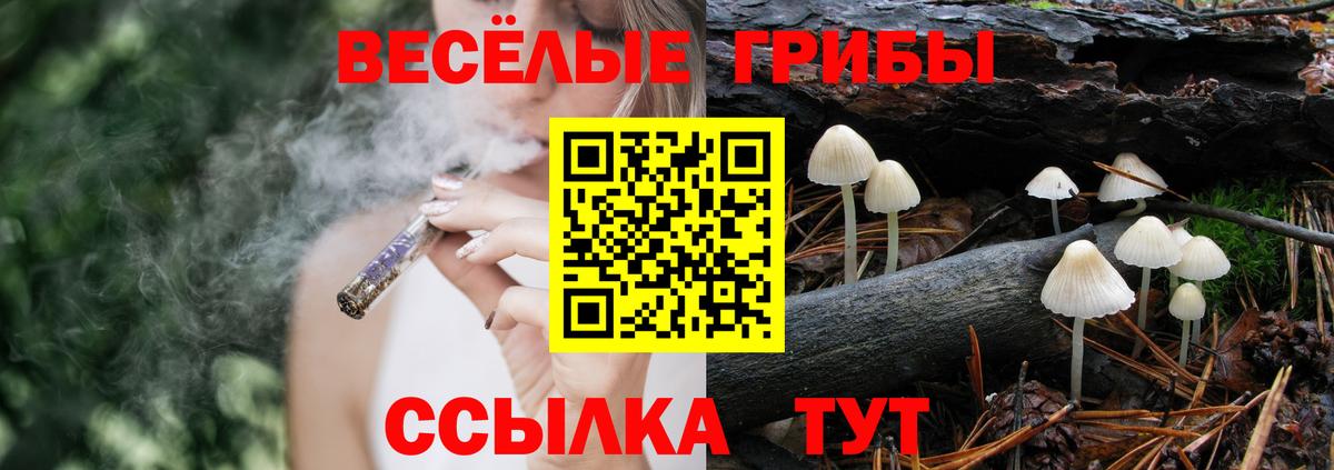 Амурск  Галлюциногенные грибы Psilocybine cubensis  цена наркотик  Вход с VPN 